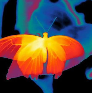 Meet your Posher, Rickie